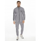 Спортивный костюм трикотажный серого цвета 9153Sr