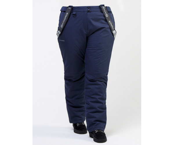 Женский зимний костюм горнолыжный большого размера фиолетового цвета 011982F