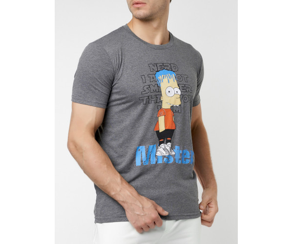 Мужские футболки с принтом серого цвета 221418Sr