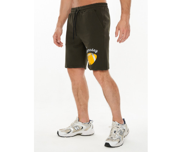 Шорты трикотажные мужские хаки цвета 222100Kh