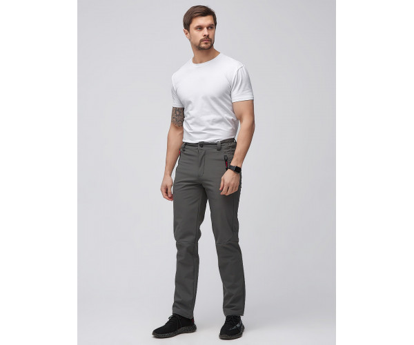 Мужские осенние весенние виндстопер серого цвета 19121Sr