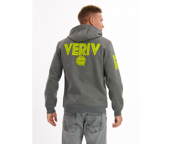 Толстовка мужская серого цвета 3003Sr