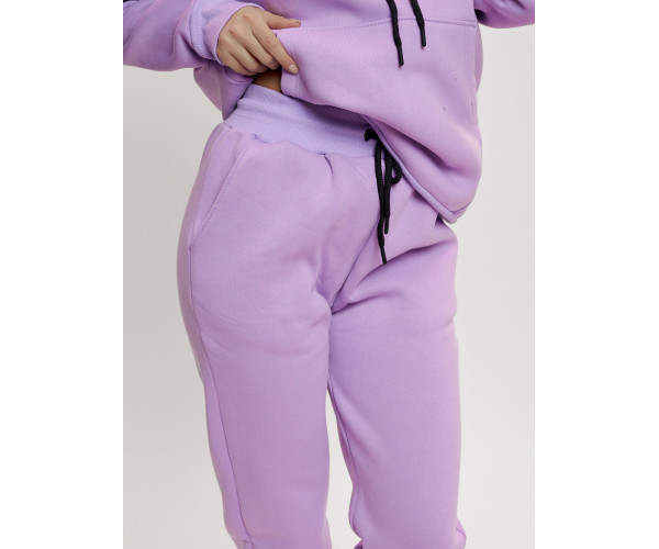 Трикотажный спортивный костюм женский с начесом фиолетового цвета 1084F
