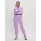 Трикотажный спортивный костюм женский с начесом фиолетового цвета 1084F