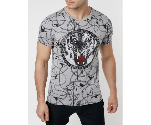 Подростковая футболка серого цвета 220081Sr