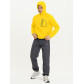 Ветровка спортивная Valianly мужская желтого цвета 93419J
