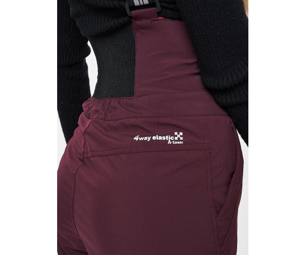Брюки горнолыжные бордового цвета 102Bo