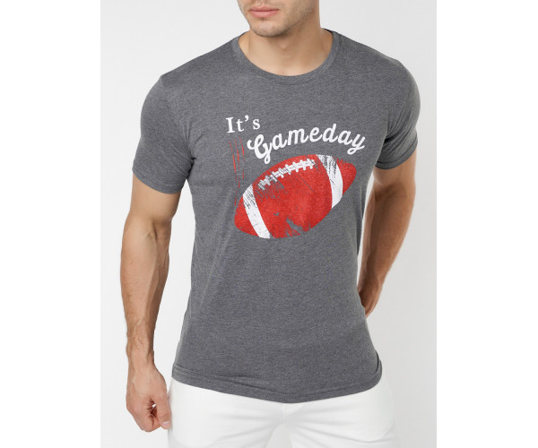 Мужские футболки с принтом серого цвета 221414Sr